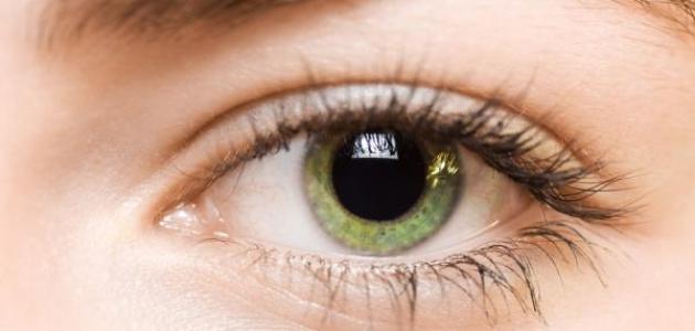 صورة جديد فيتامينات مفيدة للعين