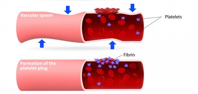 صورة جديد علاج تخثر الدم