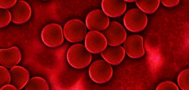 صورة جديد تحليل كريات الدم الحمراء
