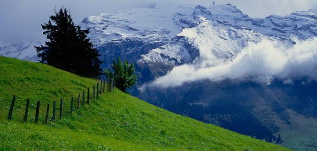 صورة جديد الطبيعة في سويسرا