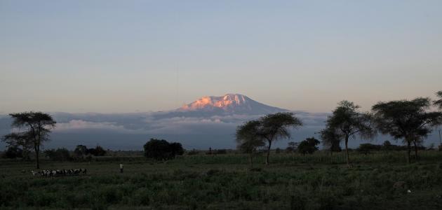 صورة جديد ما هو أعلى جبل في إفريقيا