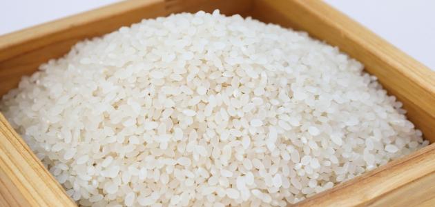 صورة جديد التخلص من سوس الأرز