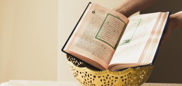 صورة جديد معاني الحروف في القرآن