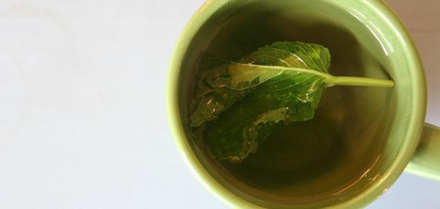 صورة جديد فوائد شاي الأخضر بالنعناع