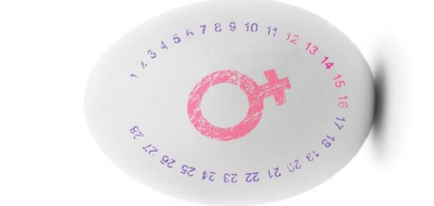 606fc1e11df83 جديد كيفية معرفة وقت الإباضة عند المرأة