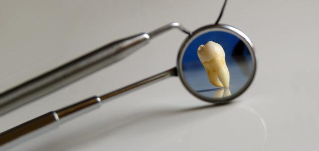 صورة جديد تخصص طب الأسنان