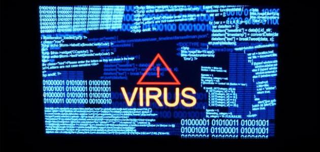 صورة جديد بحث عن فيروسات الحاسب