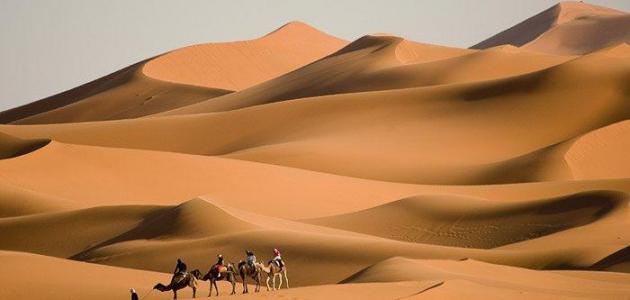 صورة بحث عن أكبر صحراء في العالم