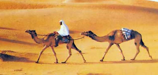 صورة صفات العرب قبل الإسلام
