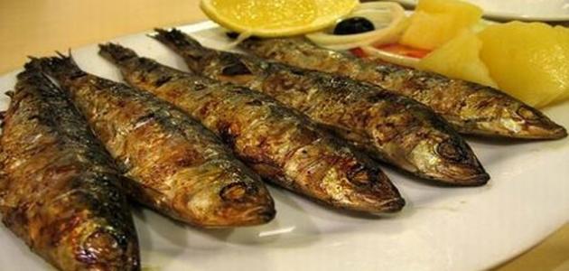 صورة طرق طبخ سمك السردين