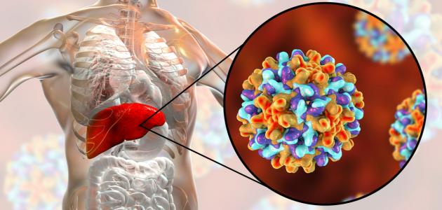 607a0f1abe470 فيروس الكبد ب