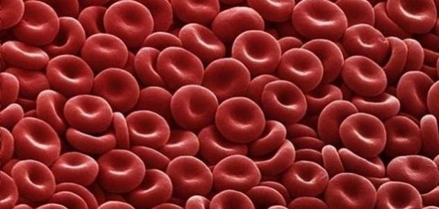 صورة كيف أرفع نسبة الهيموجلوبين في الدم
