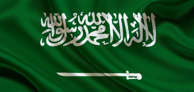 صورة ما نظام الحكم في المملكة العربية السعودية