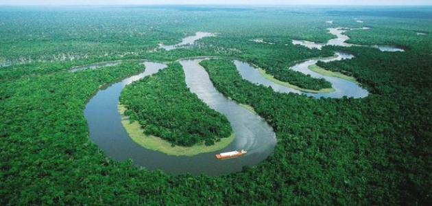 صورة معلومات عن غابة الأمازون