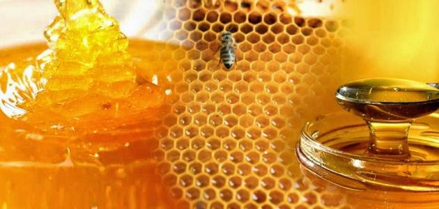 صورة أنواع عسل النحل