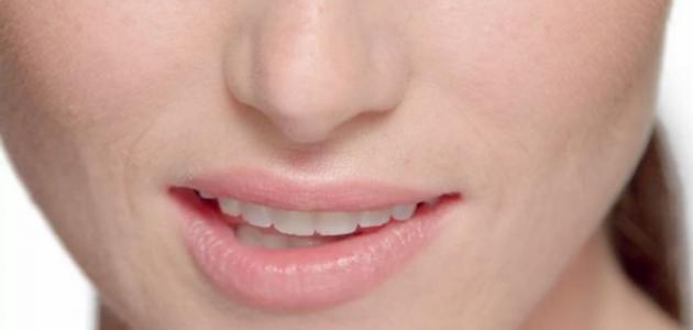 صورة أجزاء الفم في الإنسان