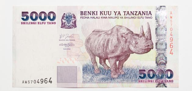 صورة ما هي العملة المستخدمة في تنزانيا