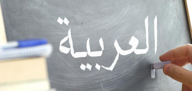 6130854d63e63 تعليم اللغة العربية للمبتدئين