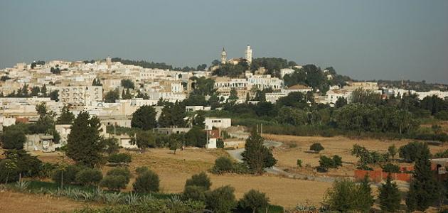 صورة مدينة زغوان في تونس