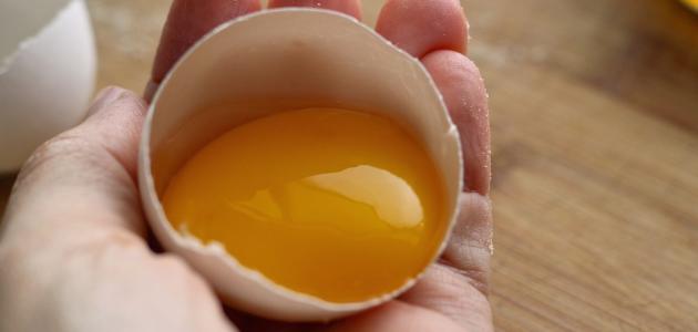 صورة فوائد صفار البيض للشعر الجاف