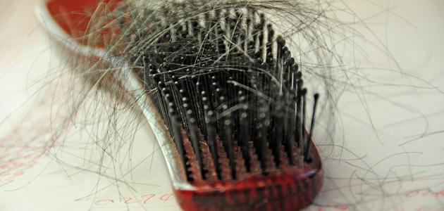 صورة بحث عن تساقط الشعر