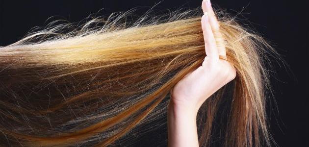 صورة طريقة التخلص من تقصف الشعر