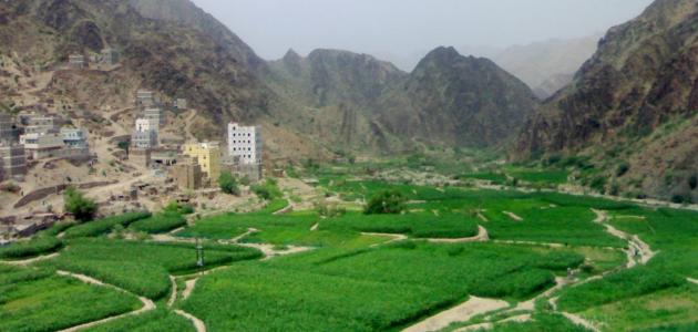 صورة محافظة لحج اليمنية
