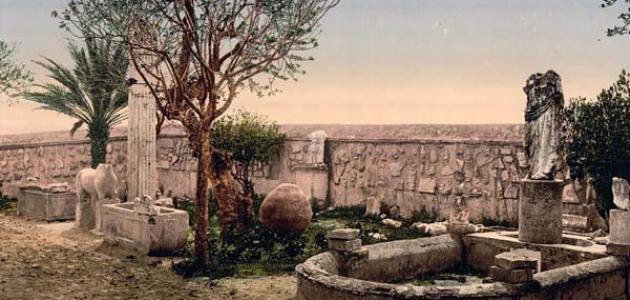 صورة مدينة قرطاج التاريخية