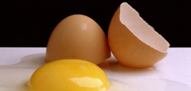 صورة فوائد البيض للشعر مع الحناء