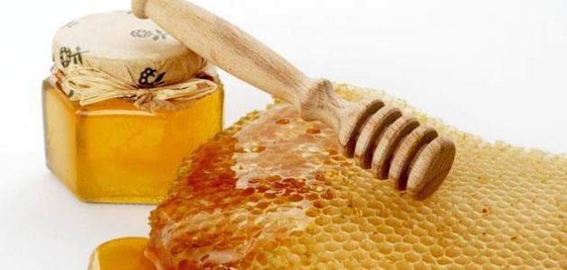 صورة فوائد عسل النحل السدر الجبلي