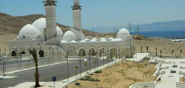 صورة أين يقع مسجد الشيخ زايد