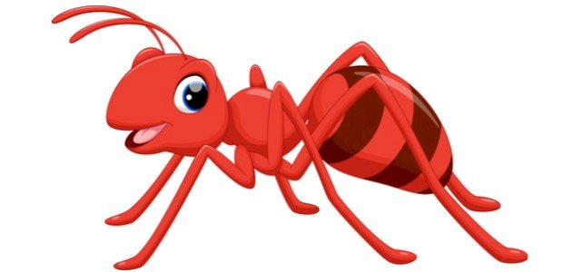 صورة قصة النملة الكريمة