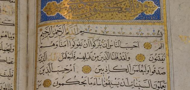 صورة أنواع أحكام القرآن الكريم