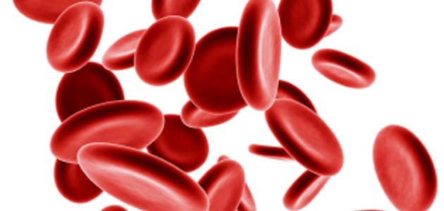 صورة بحث حول فقر الدم