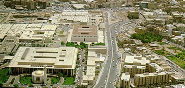 صورة مدينة الطائف